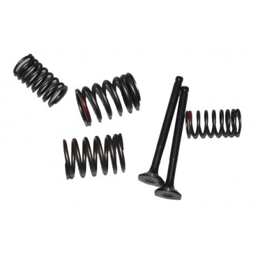Arora Special 125 Emme-Eksoz Si̇bobu