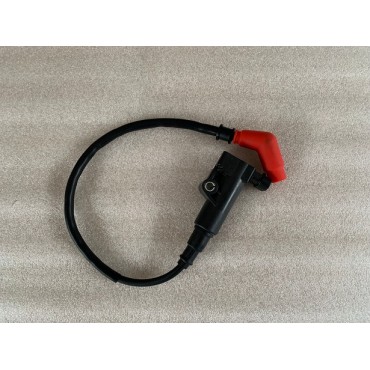Arora Chinf 318  Ateşleme Bobi̇ni̇