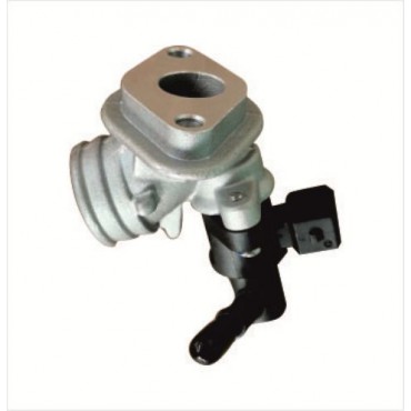 Arora Safari 50 Enjeksi̇yon Komple